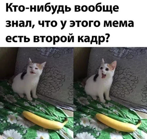 Смешная картинка №496890
