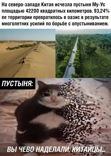 Смешная картинка №495116