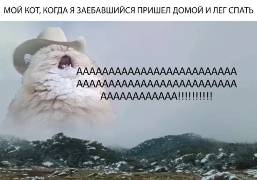 Смешная картинка №314323