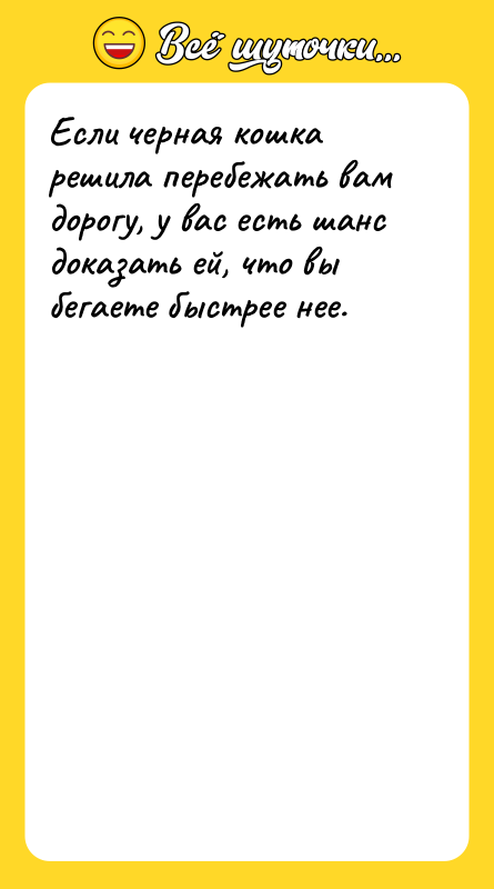 Если черная кошка решила перебежать вам дорогу, у вас есть