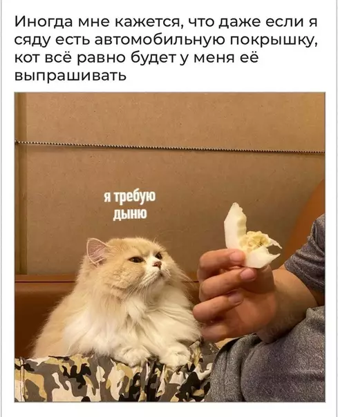 Смешная картинка №516560 Жизненно ?