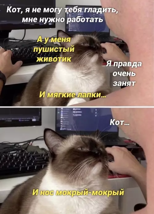 Смешная картинка №657060