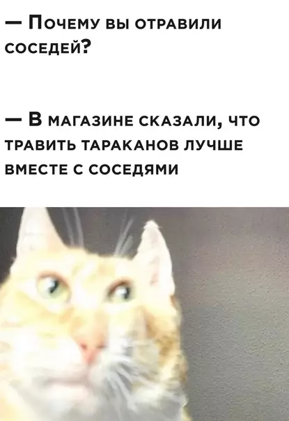 Смешная картинка №508550 Соседи