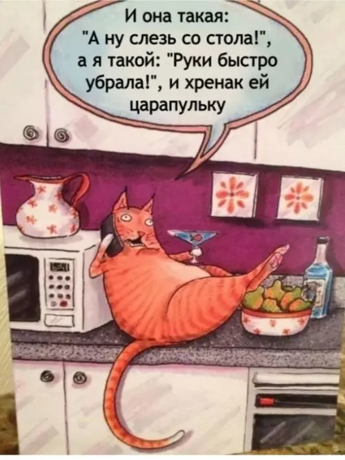 Смешная картинка №675950 Коты