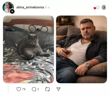 продолжение Смешная картинка №802182