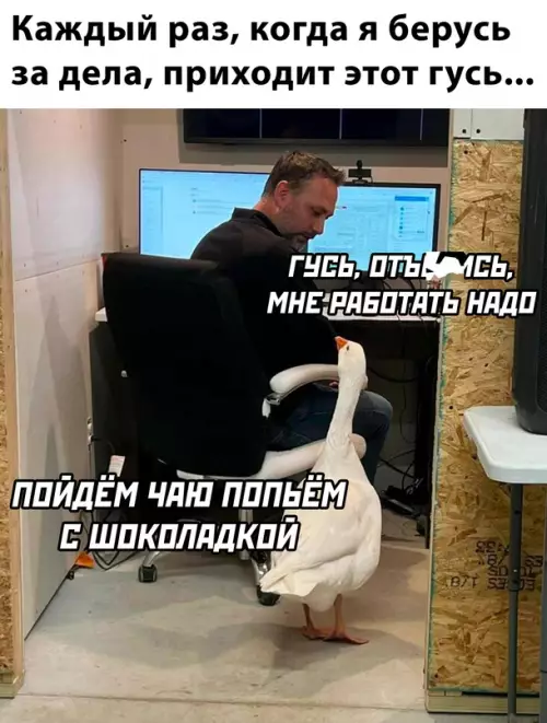 Смешная картинка №677483 Работа