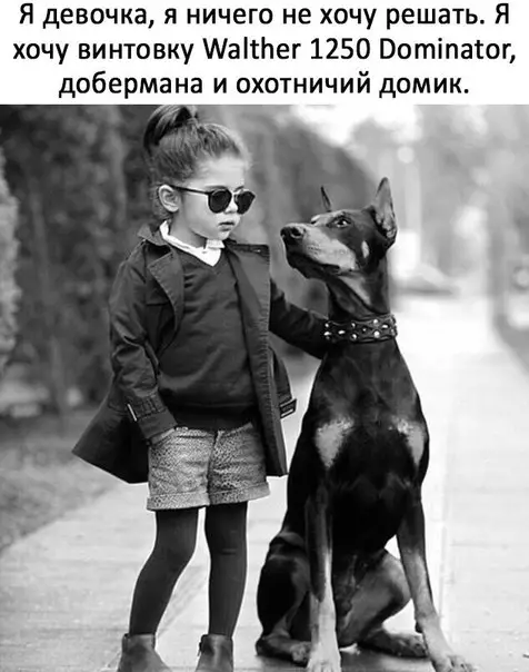 Смешная картинка №241580 Настроение: