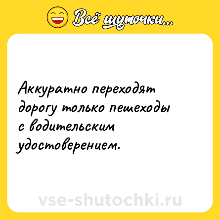 Шутка: Аккуратно переходят дорогу только пешеходы с водительским удостоверением.