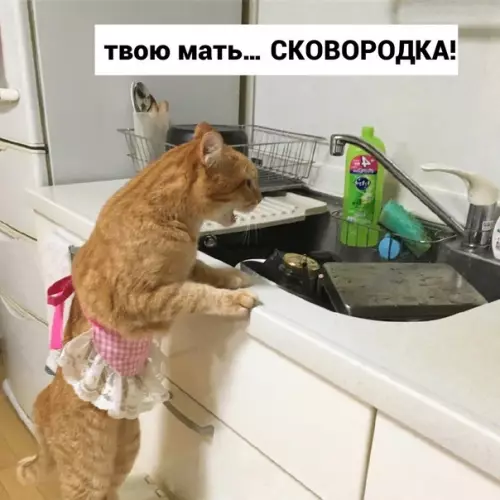 продолжение Смешная картинка №582000 Cкoвopoдкa :(