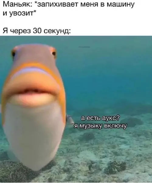 Смешная картинка №719828