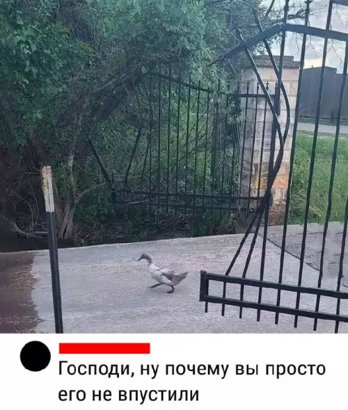 Смешная картинка №673367
