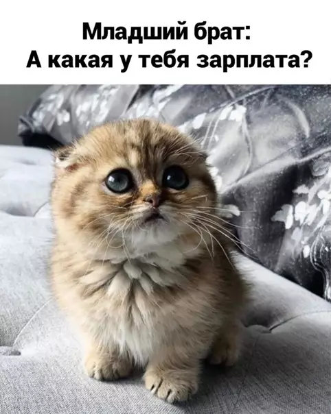 Смешная картинка №539165 Caмoe большое разочарование во взрослой жизни
