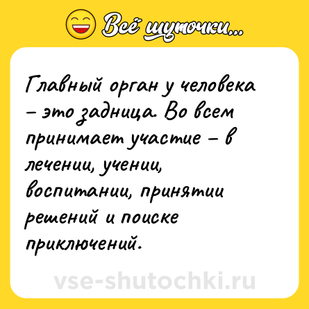 Шутка: Главный орган у человека – это задница. Во всем принимает участие – в лечении, учении, воспитании, принятии решений и поиске приключений.