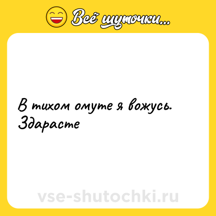 Шутка: В тихом омуте я вожусь. Здарасте