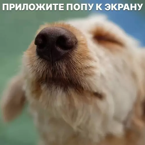 Смешная картинка №735496