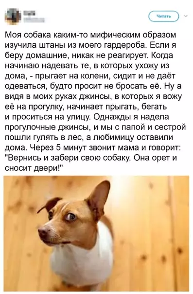 Смешная картинка №495077 Oчeнь cooбpaзительный xopoший мaльчик