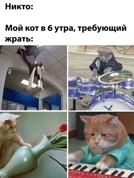 Смешная картинка №493090
