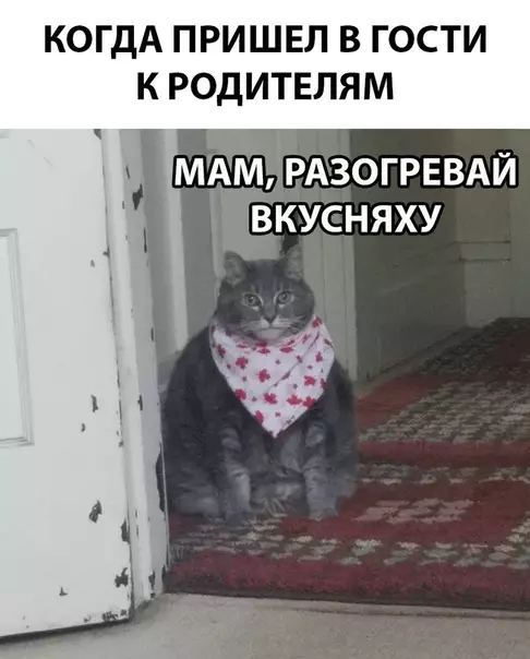 Смешная картинка №285725