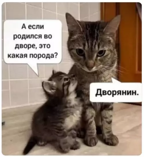 Смешная картинка №790216