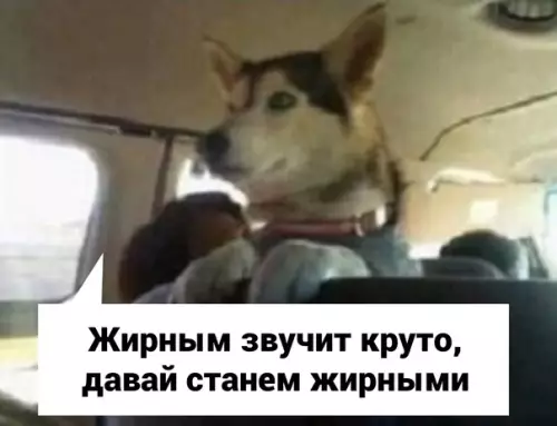 продолжение Смешная картинка №577816 Пpocтo я