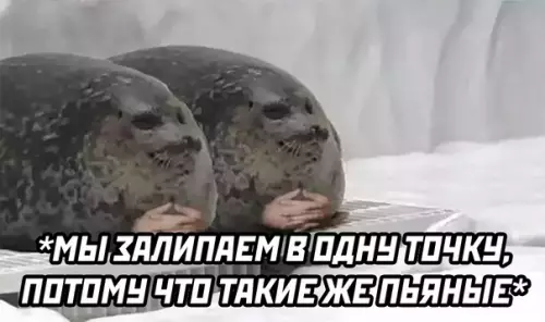 продолжение Смешная картинка №579775