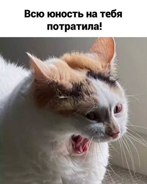 продолжение Смешная картинка №561912