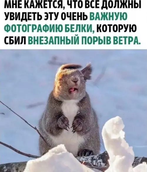 Смешная картинка №747793