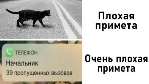 Когда уровень стресса зашкаливает 😱 - Плохая примета. Очень плохая примета. ТЕЛЕФОН. Начальник. 39 пропущенных вызовов