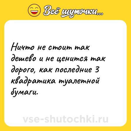 Шутка: Ничто не стоит так дешево и не ценится так дорого, как последние 3 квадратика туалетной бумаги.