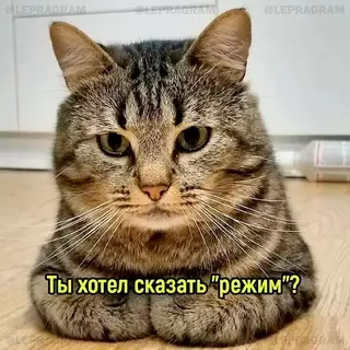 продолжение Смешная картинка №691786