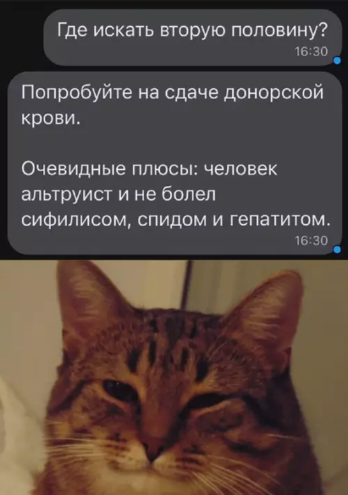 Смешная картинка №702970