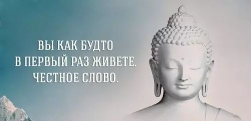 Смешная картинка №799874