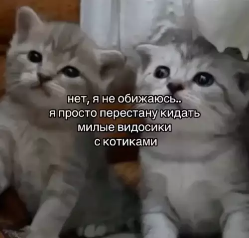 Смешная картинка №714349 Как понять, что мужчина обиделся: