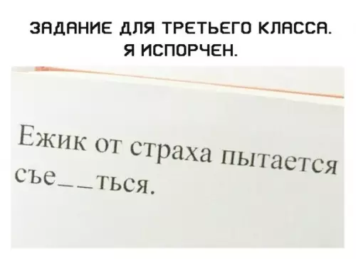 Смешная картинка №372409