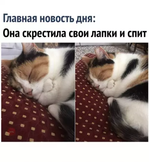 Смешная картинка №268880