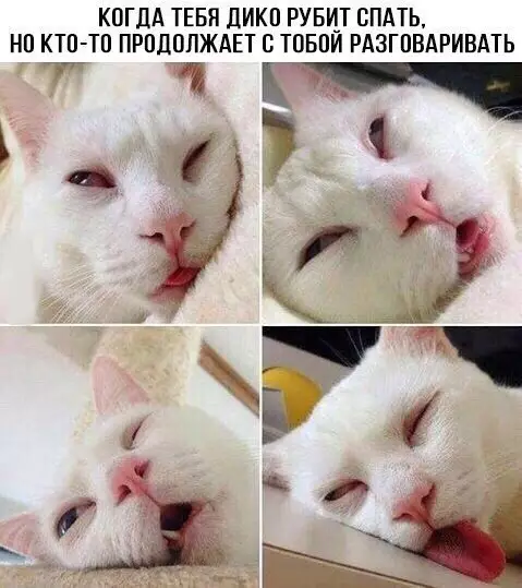 Смешная картинка №224024
