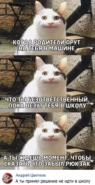 Смешная картинка №512886