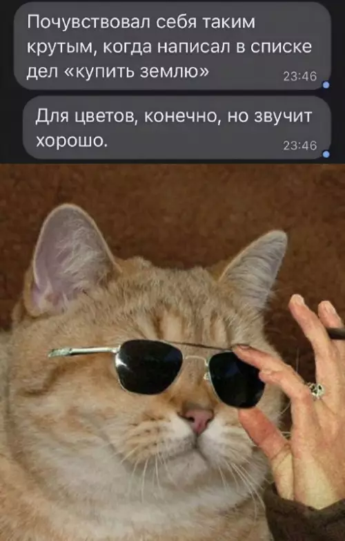 Смешная картинка №677970