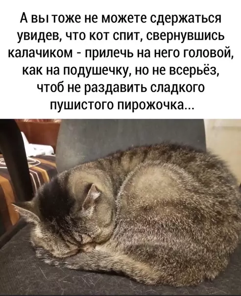 Смешная картинка №469569 Дыa :3