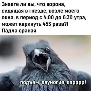 Смешная картинка №721813