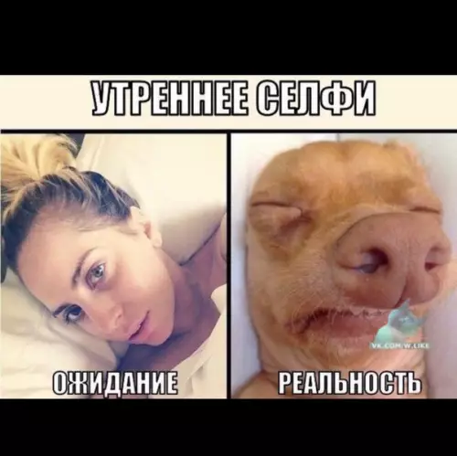 Смешная картинка №333839