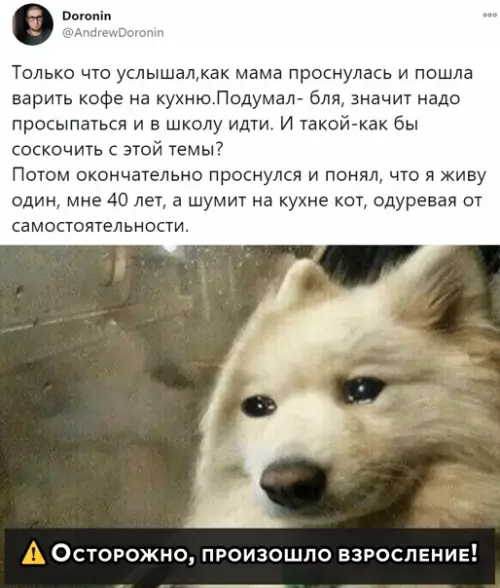 Смешная картинка №540567
