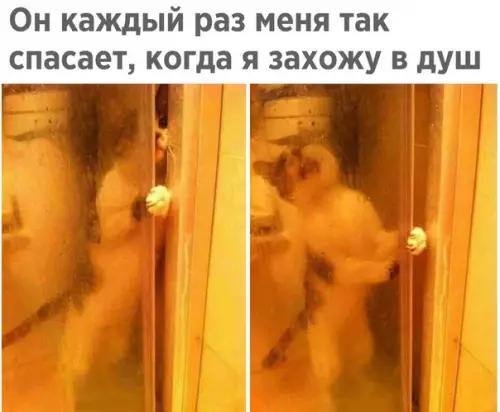 Смешная картинка №218038