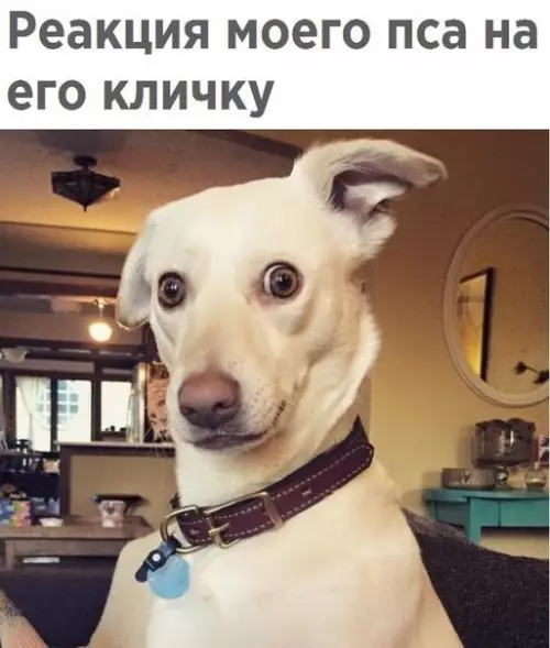 Смешная картинка №260537