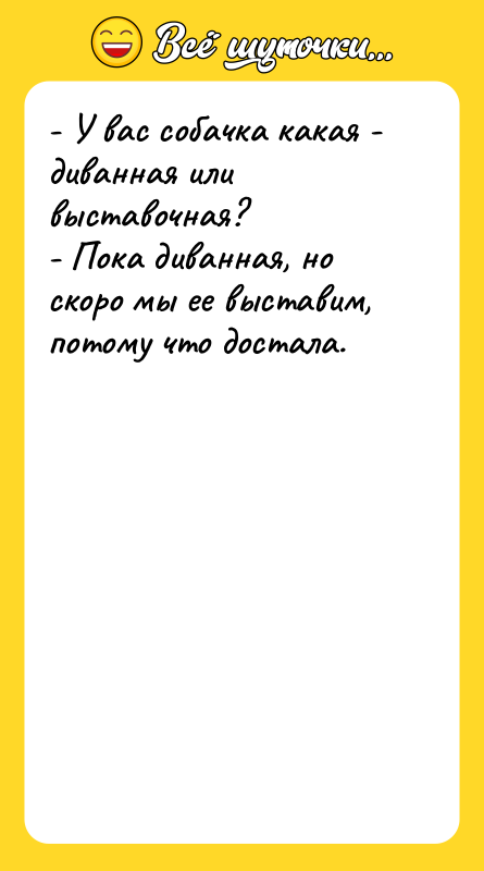- У вас собачка какая - диванная или выставочная? -