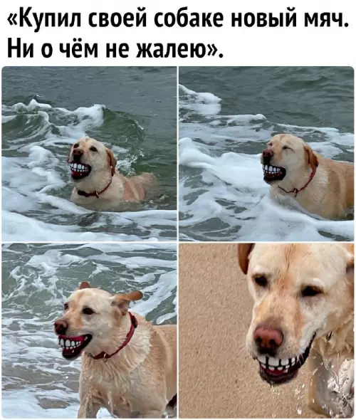 Смешная картинка №694133