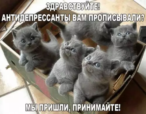 Смешная картинка №310391