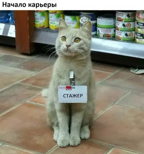 Смешная картинка №218046