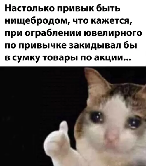 Смешная картинка №553033