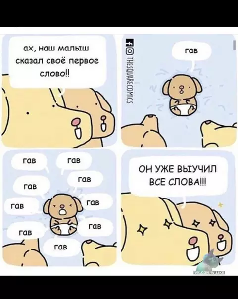 Смешная картинка №342162 собаки